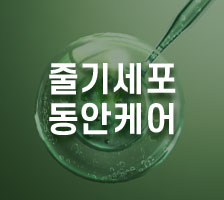 줄기세포