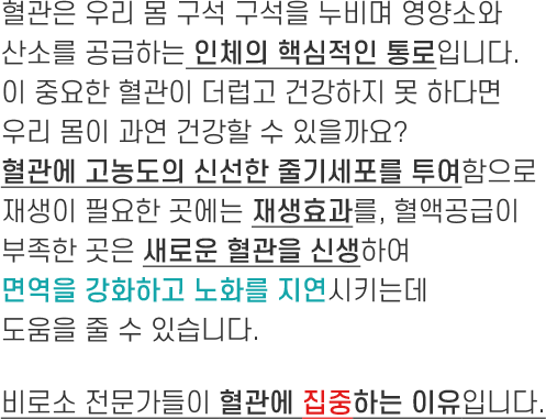 혈관집중 정보