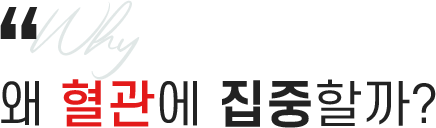 왜 혈관에 집중할까?
