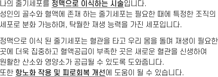 셀테라피 IV 정맥주사 정보