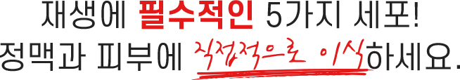 재생에 필수적인 5가지 세포! 정맥과 피부에 직접적으로 이식 하세요.