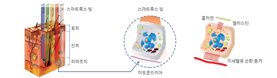 스마트한 빛, 스마트룩스의 치료 원리