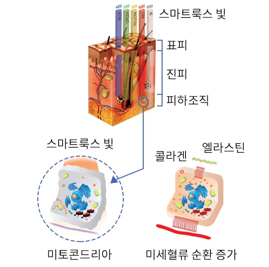 스마트한 빛, 스마트룩스의 치료 원리