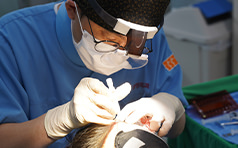 모낭 이식