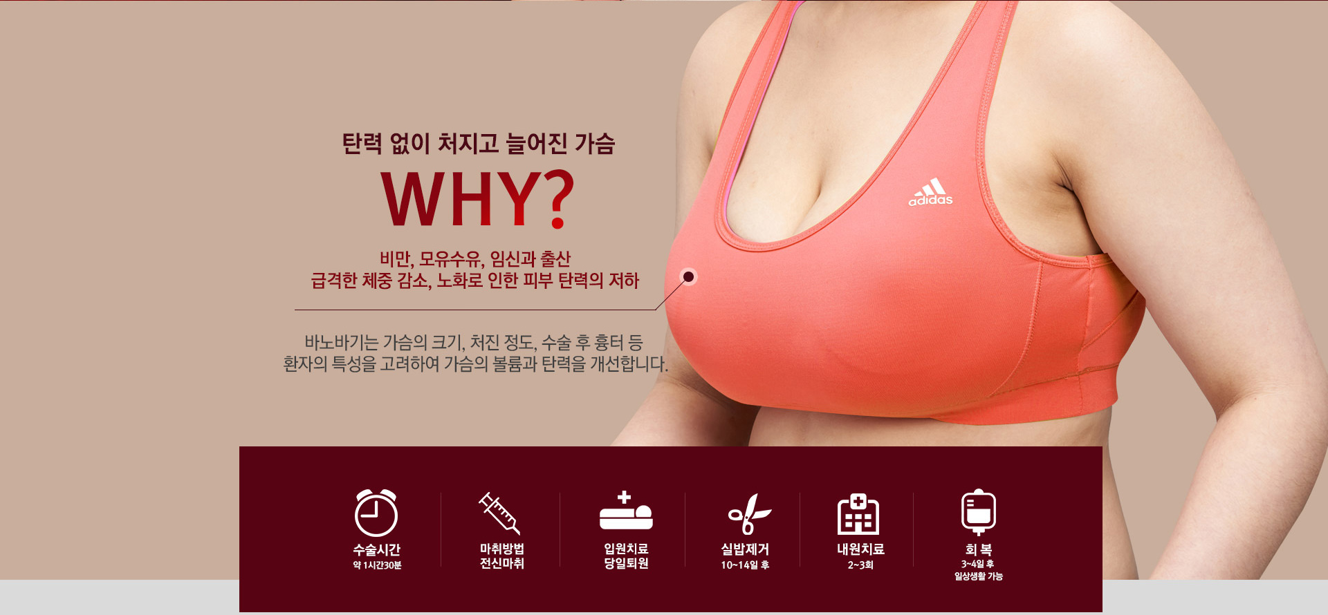 탄력없이 처지고 늘어난 가슴 WHY? 비만, 모유수유, 임신과 출산, 급격한 제중 감소, 노화로 인한 피부 탄력의 저하