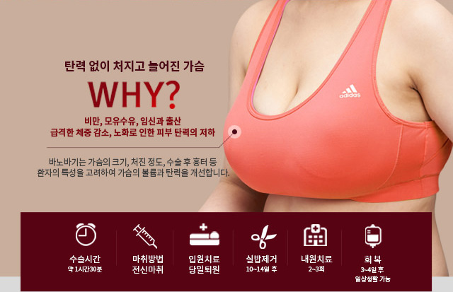 탄력없이 처지고 늘어난 가슴 WHY? 비만, 모유수유, 임신과 출산, 급격한 제중 감소, 노화로 인한 피부 탄력의 저하