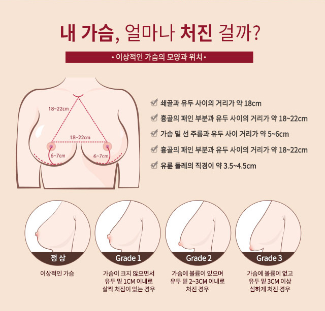 내 가슴, 얼마나 처진 걸까? 이상적인 가슴의 모양과 위치