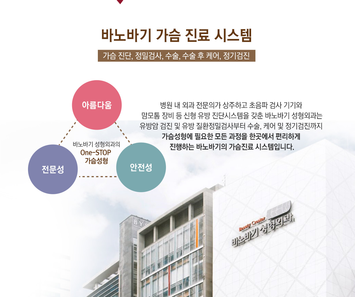 바노바기 가슴 진료 시스템:가슴 진단, 정밀검사, 수술, 수술 후 케어, 정기검진