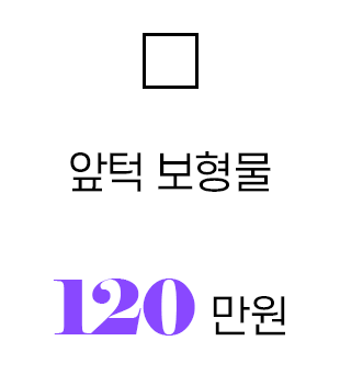 앞턱보형물