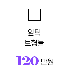 앞턱보형물