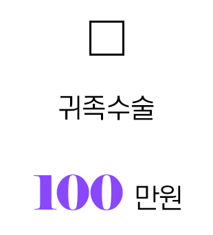 귀족수술