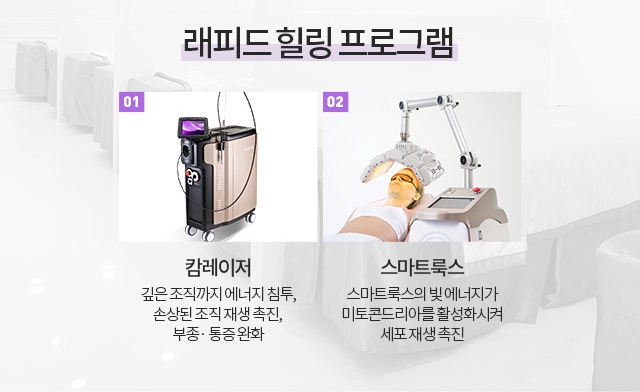 래피드 힐링 프로그램