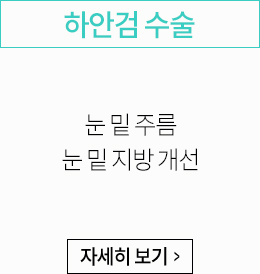 하안검 수술:눈 밑 주름, 눈 밑 지방 개선
